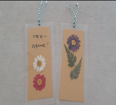 꽃 이미지